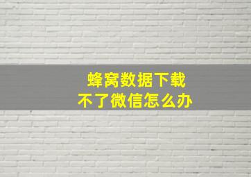 蜂窝数据下载不了微信怎么办