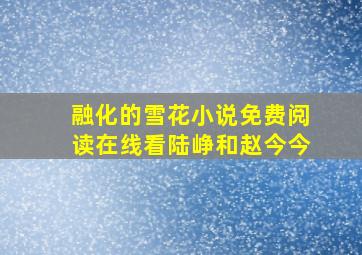 融化的雪花小说免费阅读在线看陆峥和赵今今