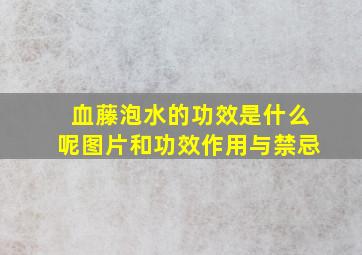 血藤泡水的功效是什么呢图片和功效作用与禁忌