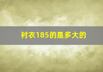 衬衣185的是多大的