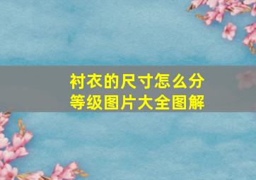 衬衣的尺寸怎么分等级图片大全图解