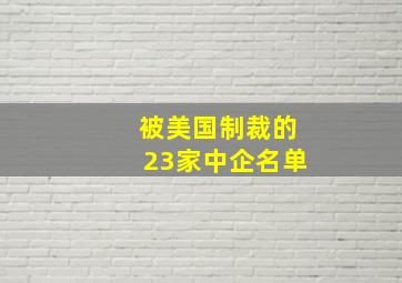 被美国制裁的23家中企名单