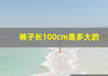 裤子长100cm是多大的