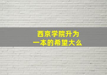 西京学院升为一本的希望大么