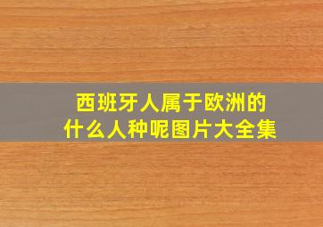 西班牙人属于欧洲的什么人种呢图片大全集