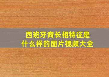 西班牙裔长相特征是什么样的图片视频大全