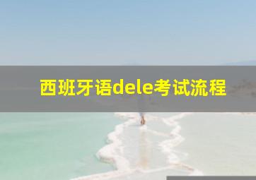 西班牙语dele考试流程