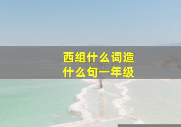 西组什么词造什么句一年级