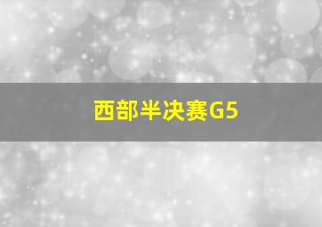 西部半决赛G5