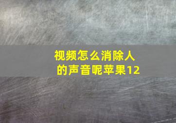 视频怎么消除人的声音呢苹果12