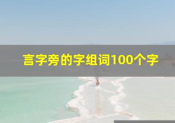 言字旁的字组词100个字