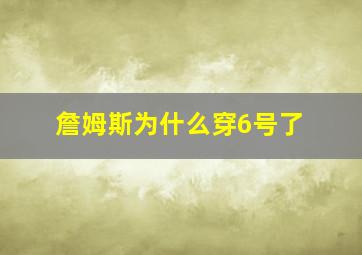 詹姆斯为什么穿6号了