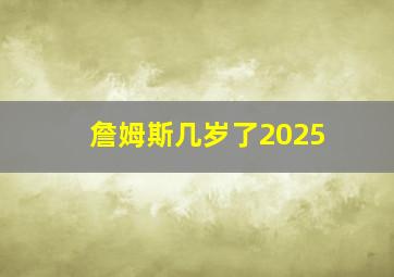 詹姆斯几岁了2025