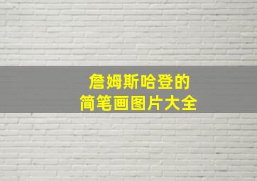 詹姆斯哈登的简笔画图片大全