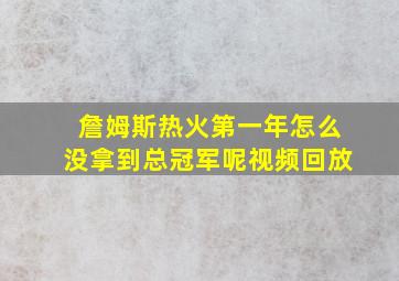 詹姆斯热火第一年怎么没拿到总冠军呢视频回放