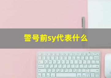 警号前sy代表什么