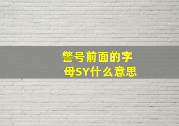 警号前面的字母SY什么意思