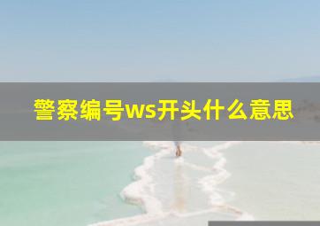 警察编号ws开头什么意思