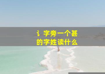 讠字旁一个甚的字姓读什么