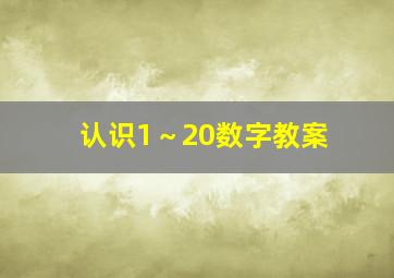 认识1～20数字教案