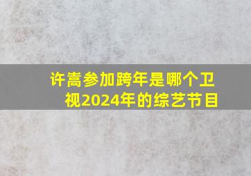 许嵩参加跨年是哪个卫视2024年的综艺节目