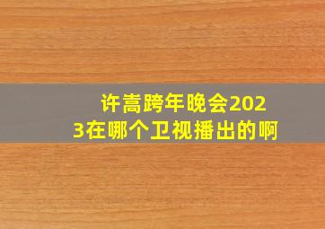 许嵩跨年晚会2023在哪个卫视播出的啊