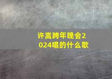 许嵩跨年晚会2024唱的什么歌