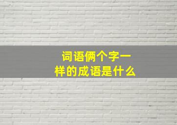 词语俩个字一样的成语是什么