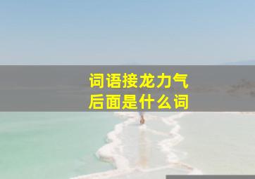 词语接龙力气后面是什么词