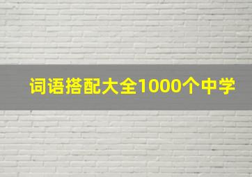 词语搭配大全1000个中学