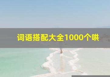 词语搭配大全1000个哄