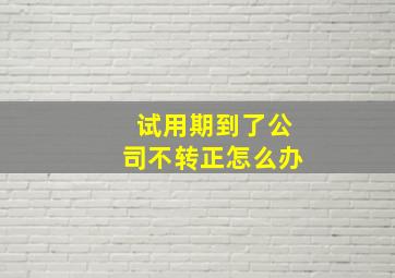 试用期到了公司不转正怎么办