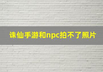 诛仙手游和npc拍不了照片