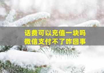 话费可以充值一块吗微信支付不了咋回事