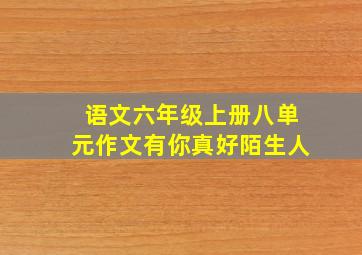 语文六年级上册八单元作文有你真好陌生人