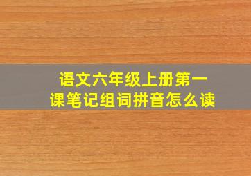 语文六年级上册第一课笔记组词拼音怎么读