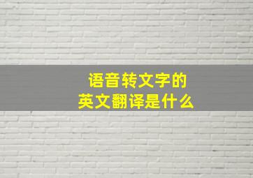 语音转文字的英文翻译是什么