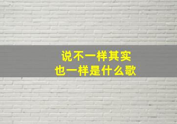 说不一样其实也一样是什么歌