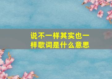 说不一样其实也一样歌词是什么意思