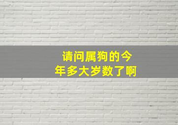 请问属狗的今年多大岁数了啊