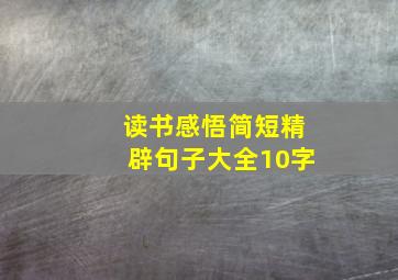 读书感悟简短精辟句子大全10字