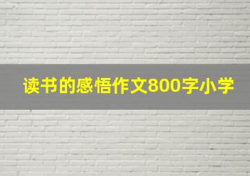 读书的感悟作文800字小学