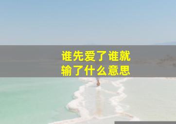 谁先爱了谁就输了什么意思