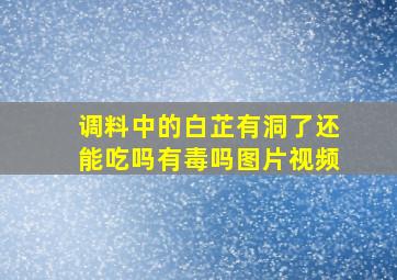 调料中的白芷有洞了还能吃吗有毒吗图片视频