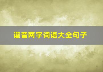 谐音两字词语大全句子