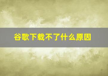 谷歌下载不了什么原因