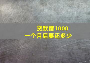 贷款借1000一个月后要还多少