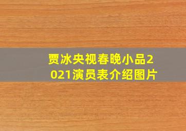 贾冰央视春晚小品2021演员表介绍图片