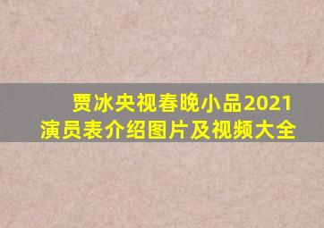 贾冰央视春晚小品2021演员表介绍图片及视频大全