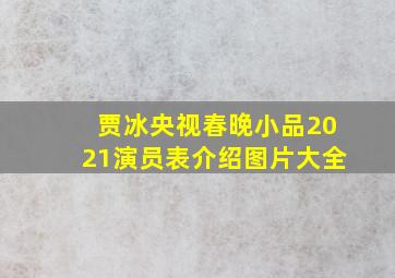 贾冰央视春晚小品2021演员表介绍图片大全